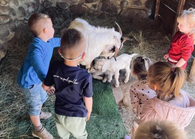 WhatsApp Image 2026-01-26 at 15.01.15 (2)