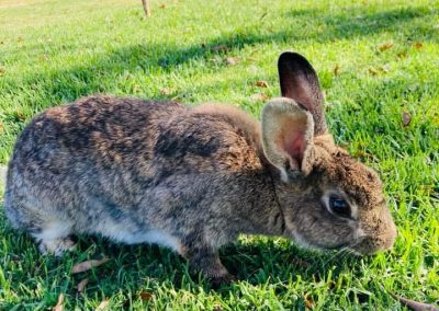 WhatsApp Image 2026-01-26 at 15.01.17 (3)